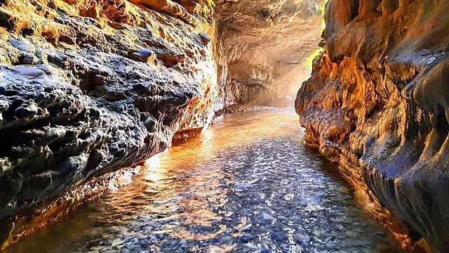 Robber’s Cave: best place to visit in dehradun with best taxi service in dehradun